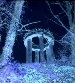 Look through the lens